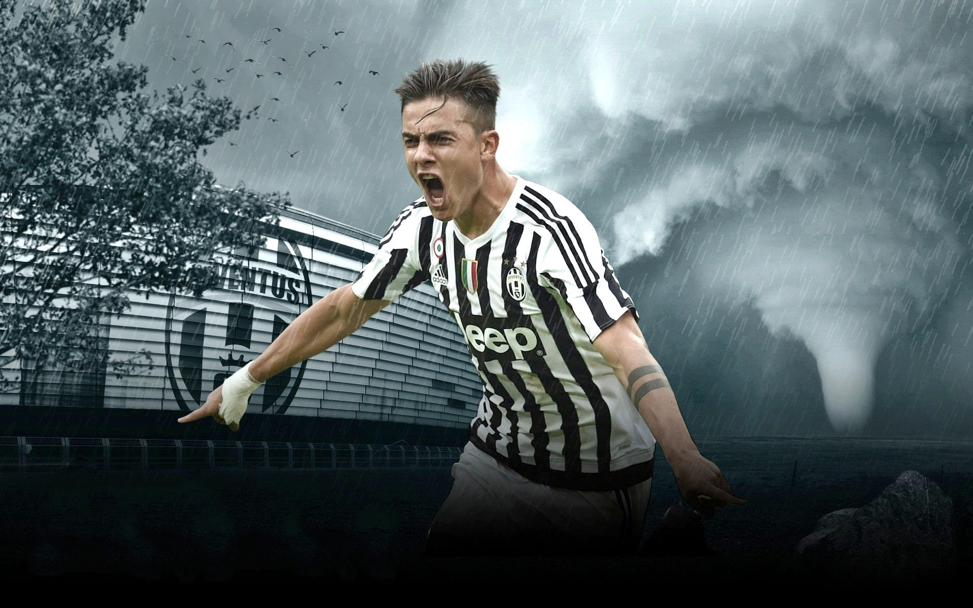 胡梅尔斯：多特中场球员的质量很高，但其风格和特点差异太大