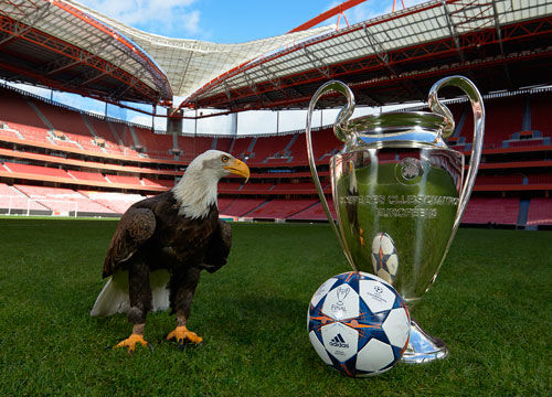 媒体人：国安足协杯冠军奖金八位数起步，是董事长找来的钱